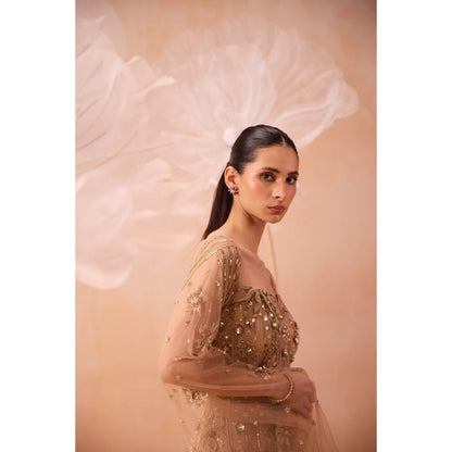 PARUL GANDHI Beige Gleaming Gown