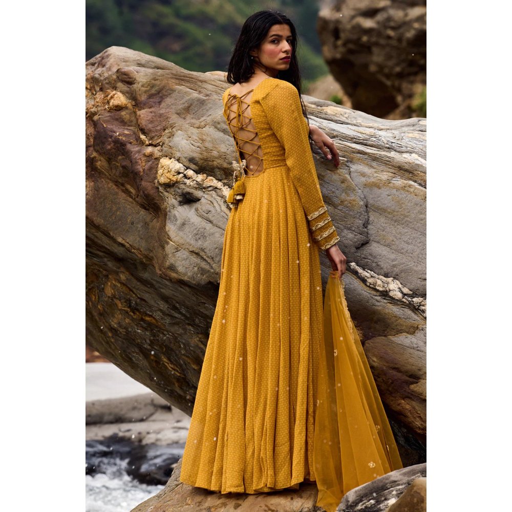 Paulmi & Harsh Ochre Yellow Geometric Print Anarkali (Set of 2)