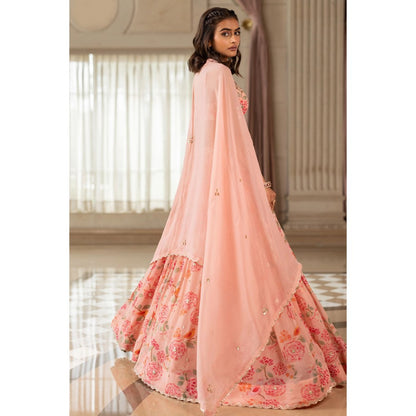 Paulmi & Harsh Chaya Pink Lehenga with Choli and Dupatta