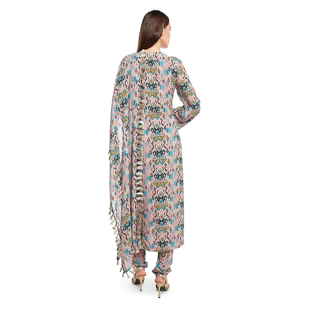 Payal Singhal Pink Printed Georgette Kurta with Churidar & Dupatta (Set of 3)