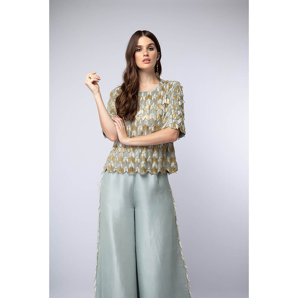 Payal Singhal Powder Blue Top with Palazzo (Set of 2)