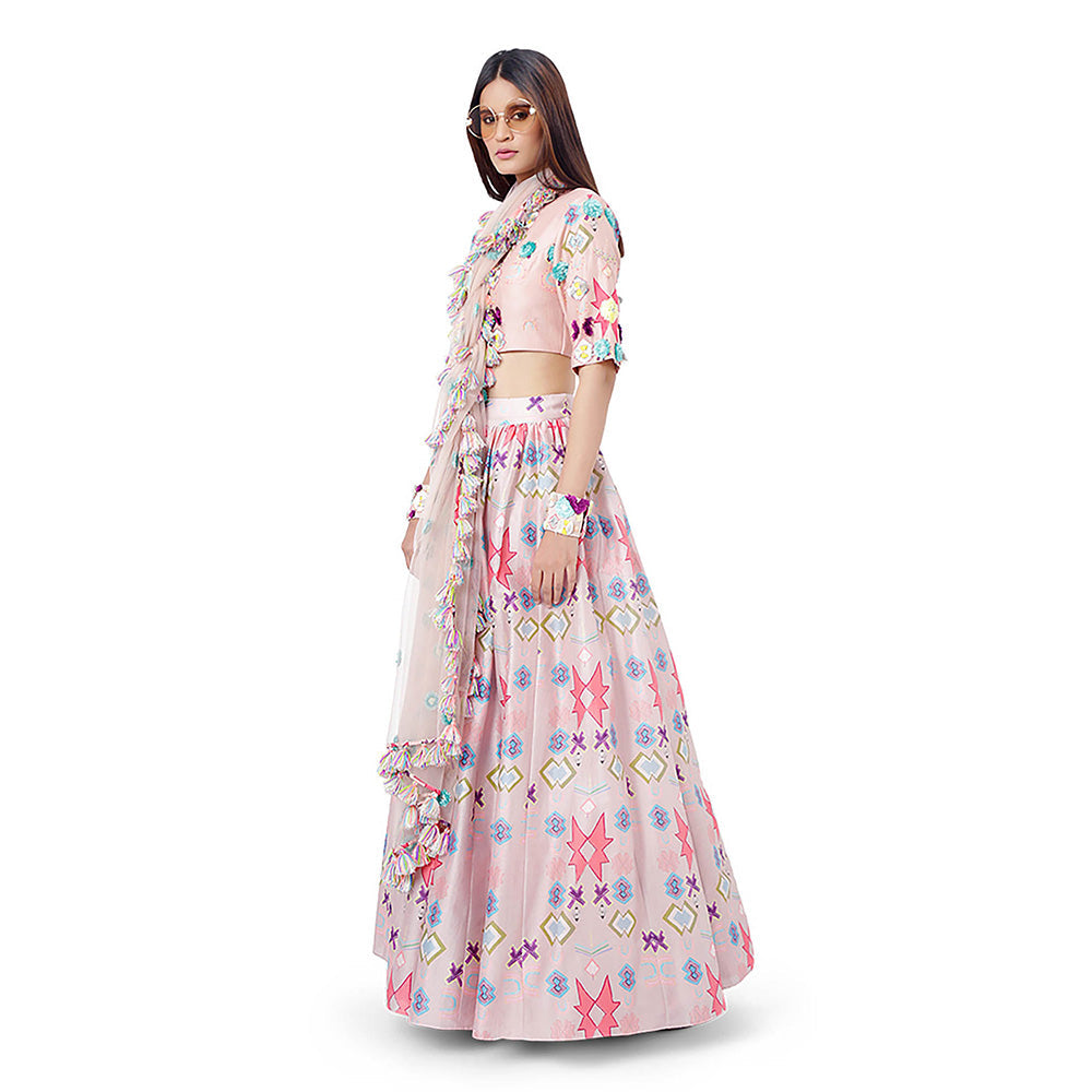 Payal Singhal Pink Printed Blouse with Lehenga and Dupatta (Set of 3)