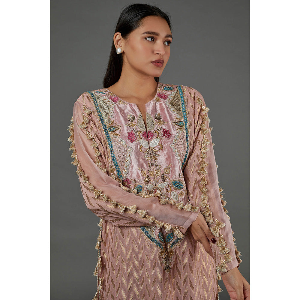 Payal Singhal Rose Pink Embroidered Dress