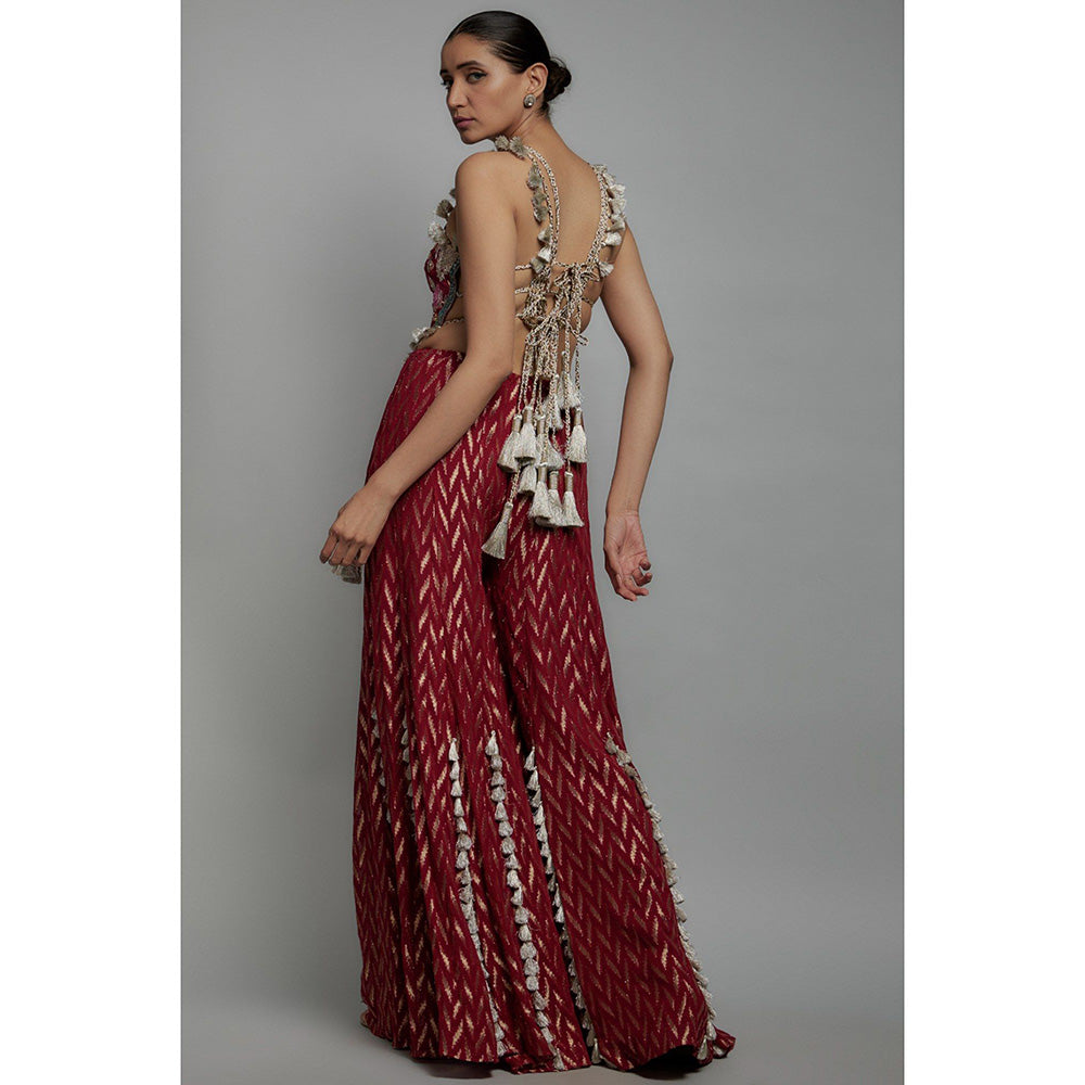 Payal Singhal Maroon Embroidered Back Tie-Up Choli with Sharara (Set of 2)