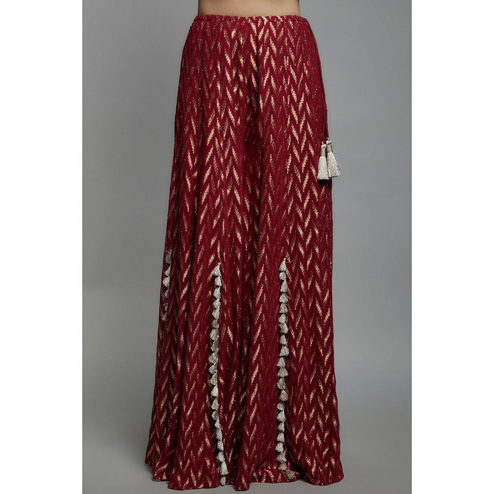 Payal Singhal Maroon Embroidered Back Tie-Up Choli with Sharara (Set of 2)