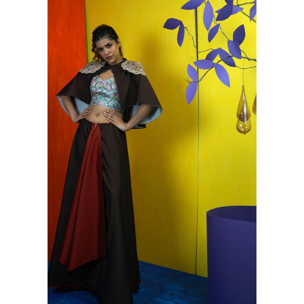 Payal Dawar Maroon The Queen Crop Top with Skirt and Cape (Set of 3)