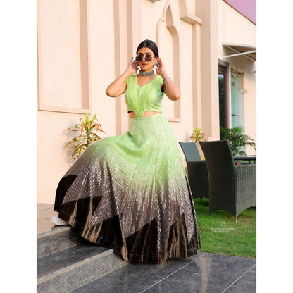 Payal Dawar Green Shimmer Crop Top with Lehenga (Set of 2)