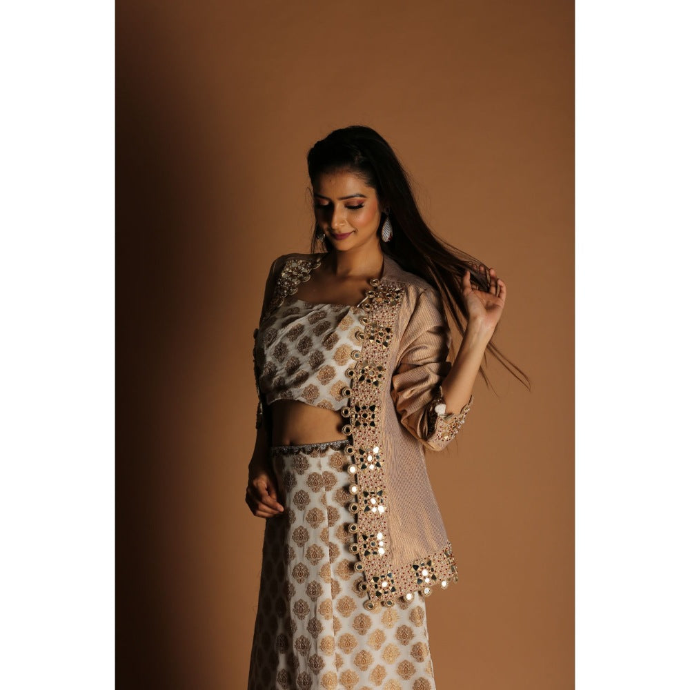 Payal Dawar Gold Banarasi Fusion Crop Top with Skirt and Jacket (Set of 3)