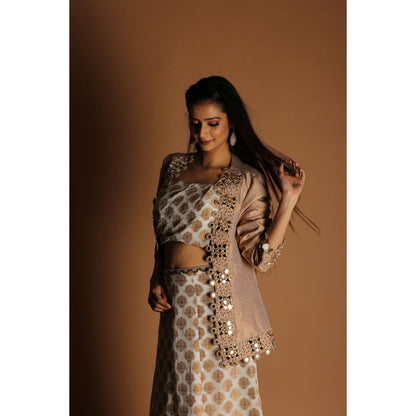 Payal Dawar Gold Banarasi Fusion Crop Top with Skirt and Jacket (Set of 3)