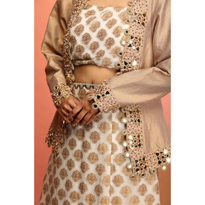 Payal Dawar Gold Banarasi Fusion Crop Top with Skirt and Jacket (Set of 3)