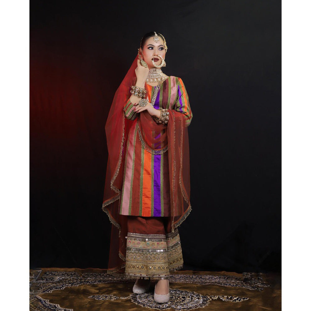 Payal Dawar Pakistani Embellished Kurta with Palazzo and Dupatta (Set of 3)