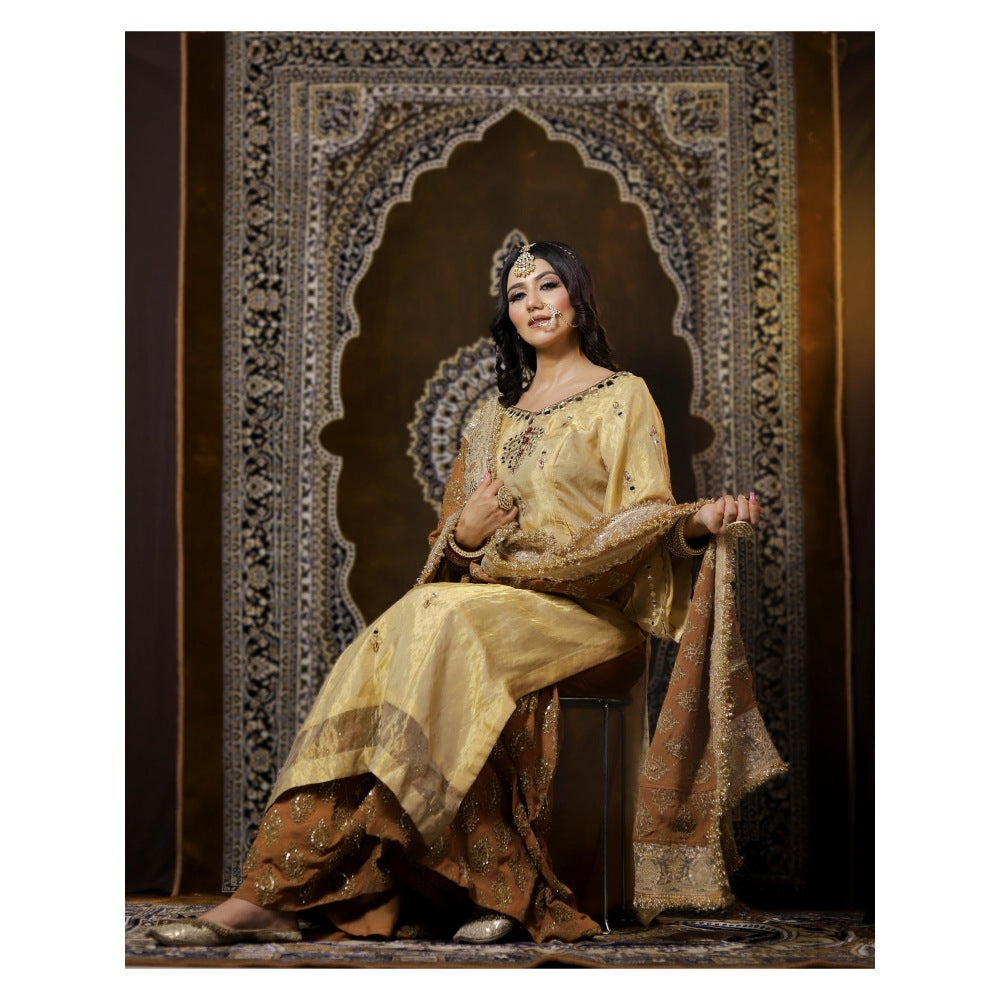 Payal Dawar Pakistani Embellished Kurta with Sharara and Dupatta (Set of 3)