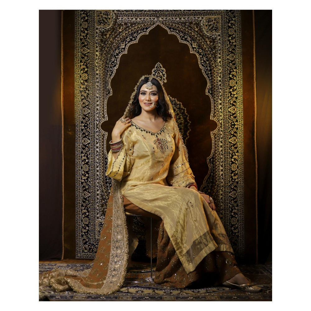 Payal Dawar Pakistani Embellished Kurta with Sharara and Dupatta (Set of 3)