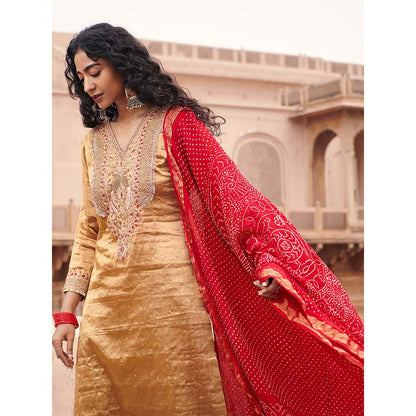 PINK CITY BY SARIKA Tissue Kurta with Pant and Bandhni Dupatta (Set of 3)