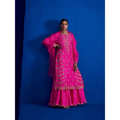 PINK CITY BY SARIKA Heavily Embroidered Kurta with Sharara and Dupatta (Set of 3)