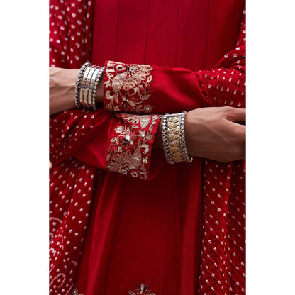 PINK CITY BY SARIKA Women's Mor Kalidar Anarkali Kurta with Pant and Dupatta (Set of 3)
