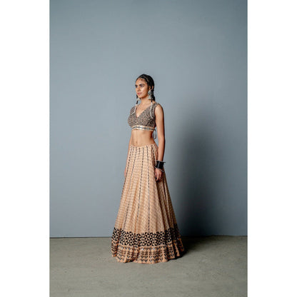 POOJA RAJGARHIA GUPTA The Zenobia Lehenga (Set of 3)