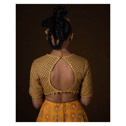POOJA RAJGARHIA GUPTA Kasundi Lehenga (Set of 3)