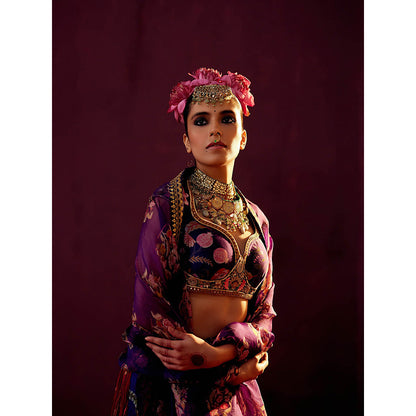 Pooja Singhal Crush Lehenga Skirt With Choli And Dupatta (Set of 3)