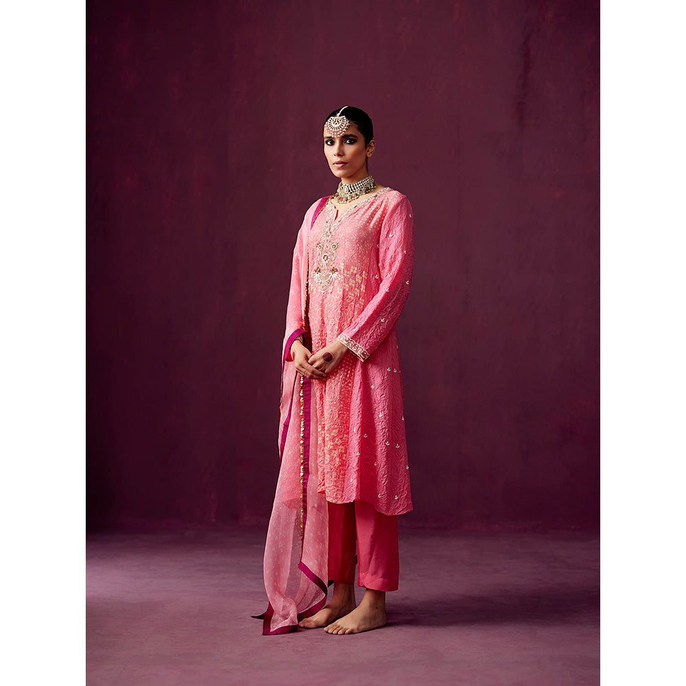 Pooja Singhal Hand Embroidered Print Silk Anarkali With Silk Pant & Organza Dupatta (Set of 3)