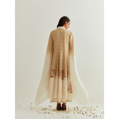 PRAMA By Pratima Pandey Printed Chanderi Beige Dress