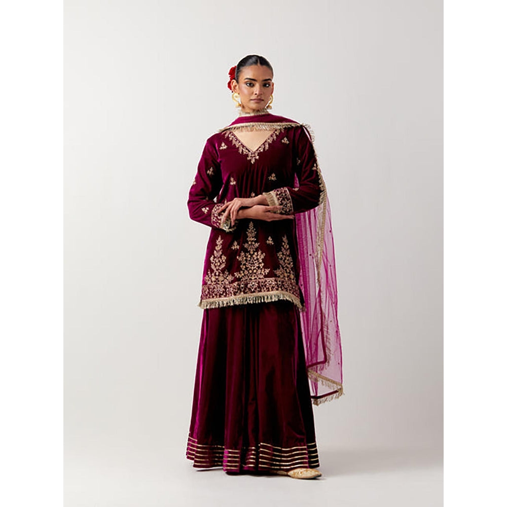 Priya Chaudhary Pink Silk Velvet Kurta With Sharara And Net Dupatta