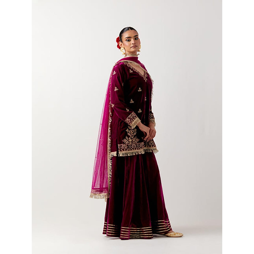 Priya Chaudhary Pink Silk Velvet Kurta With Sharara And Net Dupatta