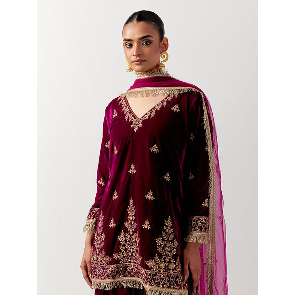 Priya Chaudhary Pink Silk Velvet Kurta With Sharara And Net Dupatta