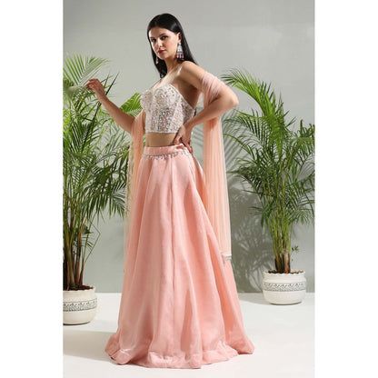 PRITI SAHNI DESIGNS Peach Corset Blouse with Lehenga and Dupatta (Set of 3)