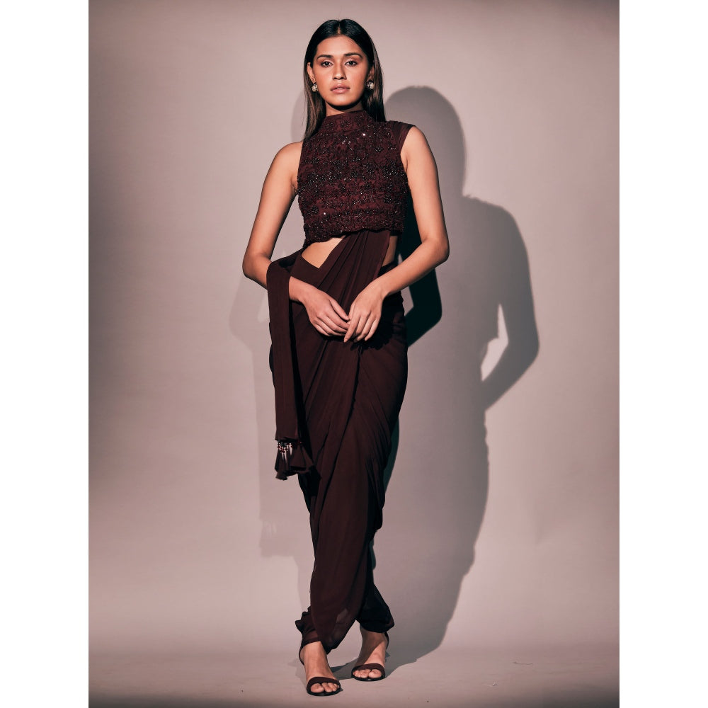 Pritika Vora Burgundy Blouse Paired with Saree with Stitched Blouse
