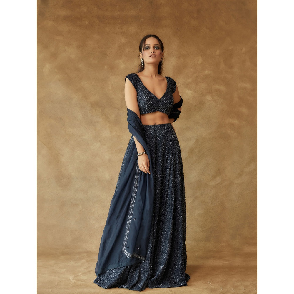 Pritika Vora Navy Blue Crystal Hand Embroidered Lehenga with Blouse & Dupatta (Set of 3)