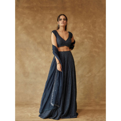 Pritika Vora Navy Blue Crystal Hand Embroidered Lehenga with Blouse & Dupatta (Set of 3)
