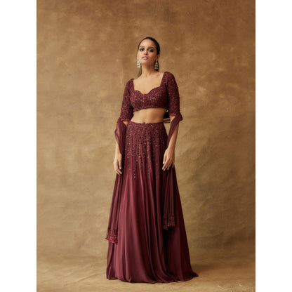 Pritika Vora Rosewood Corset Style Blouse with Lehenga & Tassel Dupatta (Set of 3)