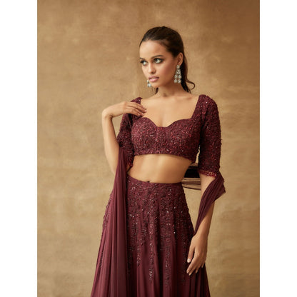 Pritika Vora Rosewood Corset Style Blouse with Lehenga & Tassel Dupatta (Set of 3)