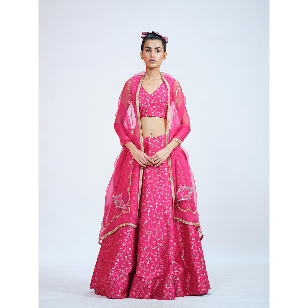 RAAG SUTRA Rani Brocade Lehenga with Blouse and Dupatta (Set of 3)