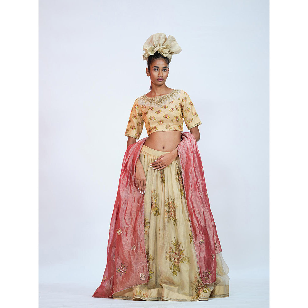 RAAG SUTRA Floral Beige Tissue Lehenga with Blouse and Dupatta (Set of 3)