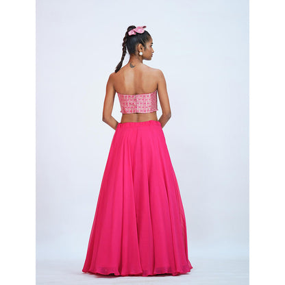 RAAG SUTRA Rani Brocade And Georgette Lehenga with Crop Top (Set of 2)