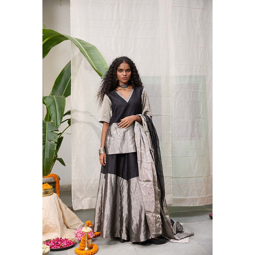 Raas Life Amala Flared Multicolor Palazzo