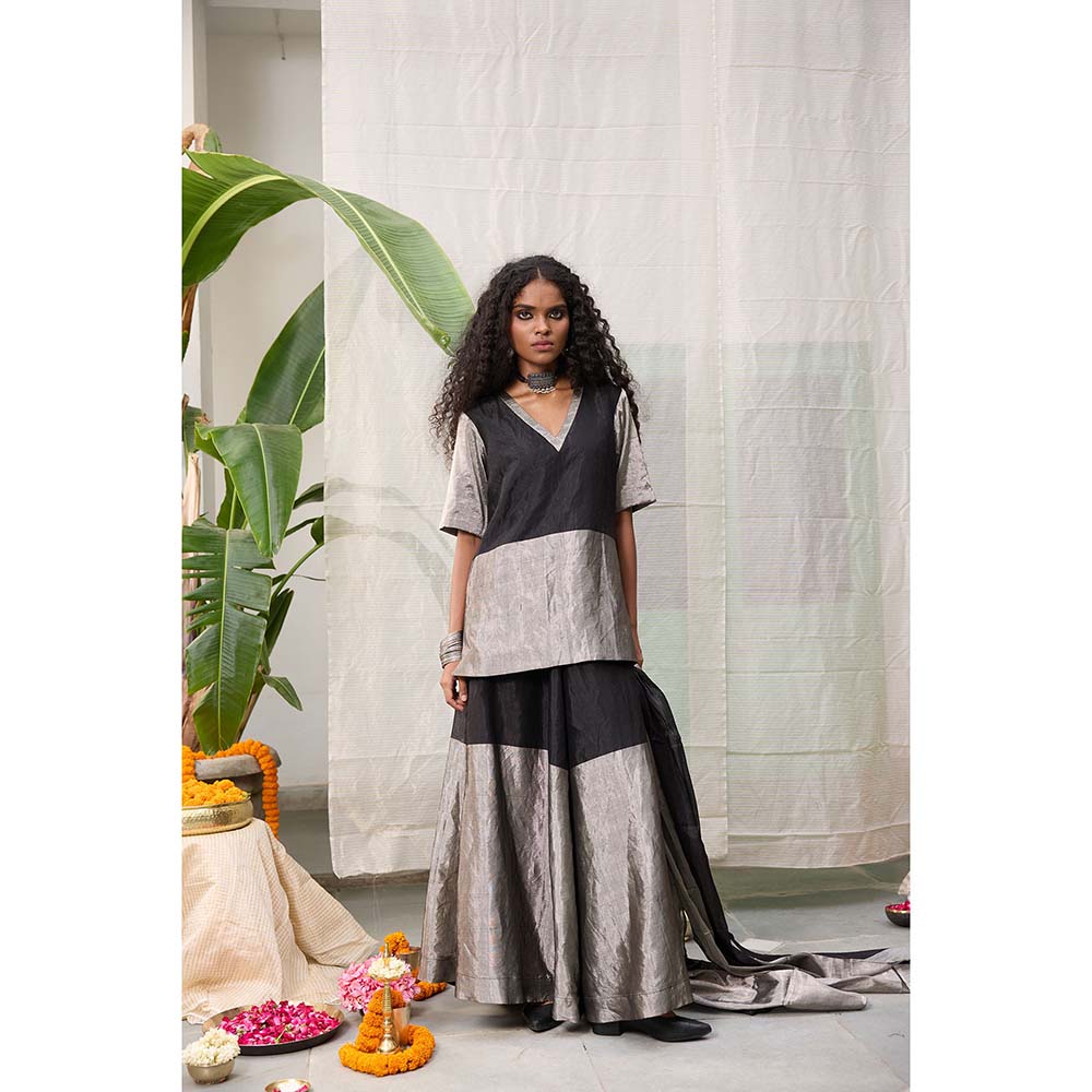 Raas Life Amala Flared Multicolor Palazzo
