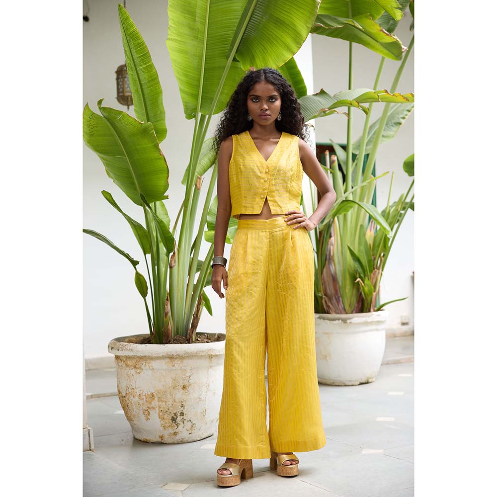 Raas Life Yellow Sabya Zari Chanderi Stripes Co-Ord (Set of 2)