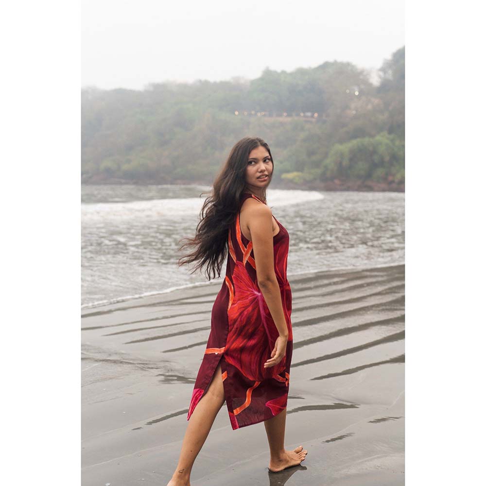Raas Life Maroon Maiza Printed Dress