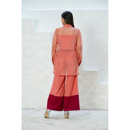 Rabnoor K Sethi Coral Organza Embroidered Co-Ord (Set of 2)