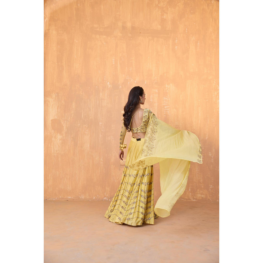 Radha Sharma Yellow Silk Chanderi Lehenga with Blouse and Dupatta (Set of 3)