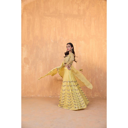 Radha Sharma Yellow Silk Chanderi Lehenga with Blouse and Dupatta (Set of 3)