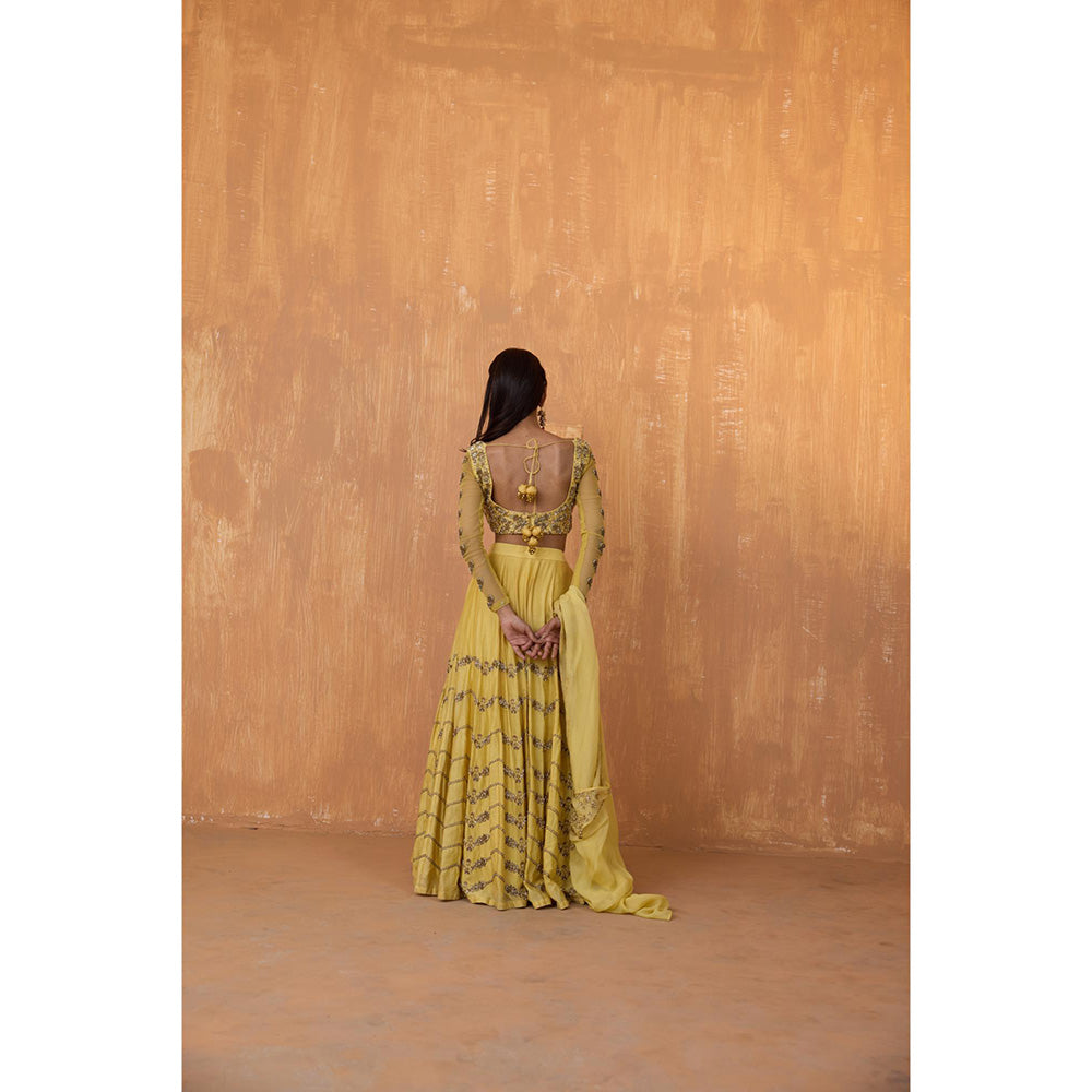 Radha Sharma Yellow Silk Chanderi Lehenga with Blouse and Dupatta (Set of 3)