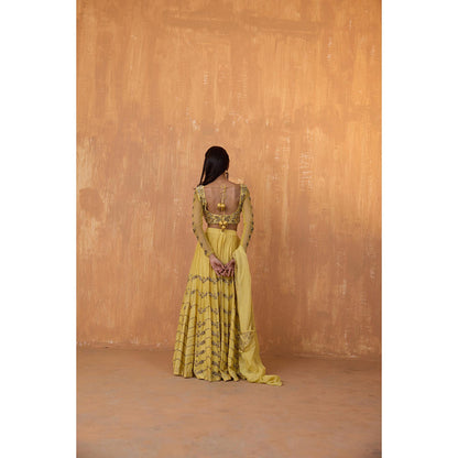 Radha Sharma Yellow Silk Chanderi Lehenga with Blouse and Dupatta (Set of 3)