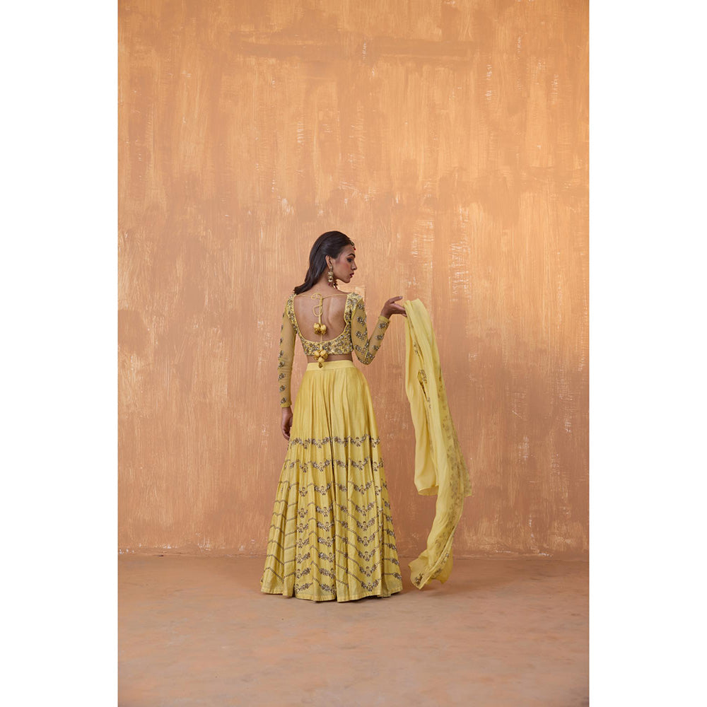 Radha Sharma Yellow Silk Chanderi Lehenga with Blouse and Dupatta (Set of 3)