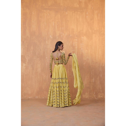 Radha Sharma Yellow Silk Chanderi Lehenga with Blouse and Dupatta (Set of 3)