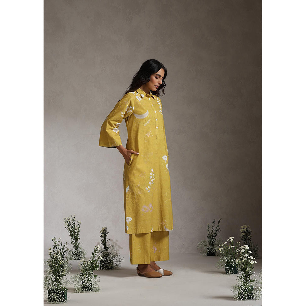 Raiman Enchanted Garden Floral Kurta and Pant (Set of 2)