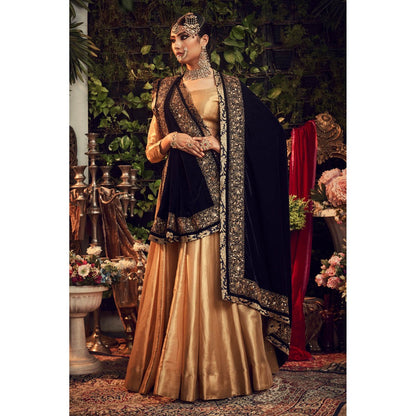 Ranian Gold Round Neck Blouse with Lehenga and Navy Blue Velvet Dupatta (Set of 3)